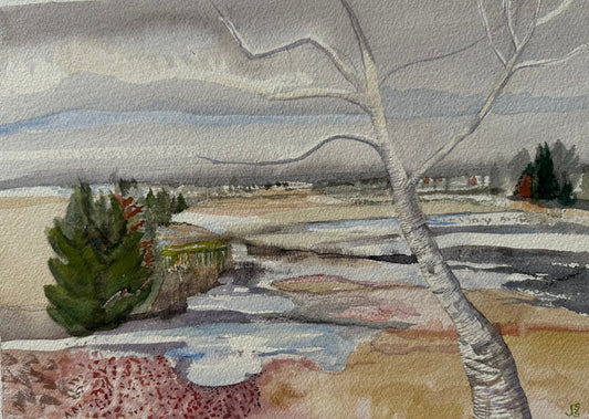 33. White Birch Tree with Winter Meadow