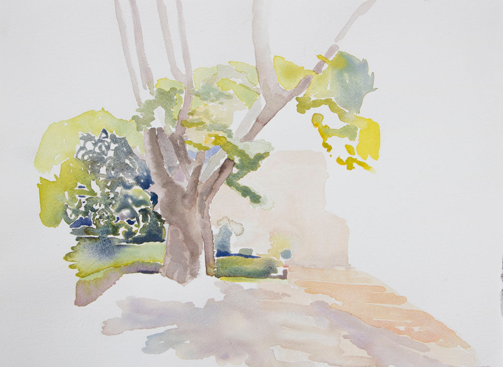 62. Early afternoon warmth