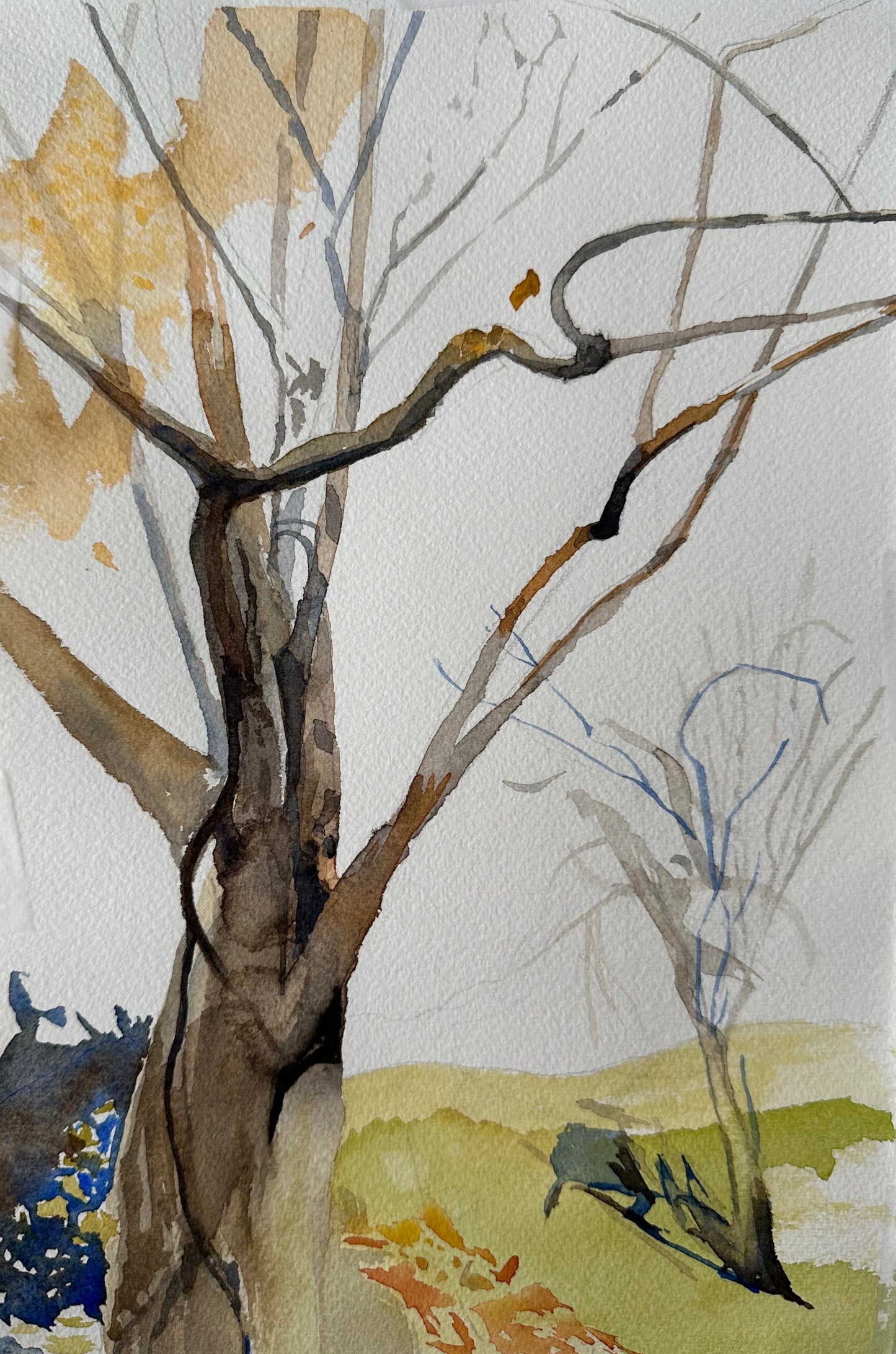 97. Brown tree in the Autumn Central Park