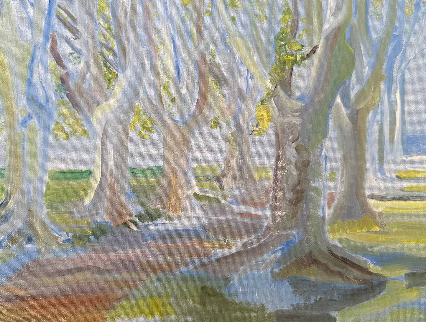 42. The Allée from the side