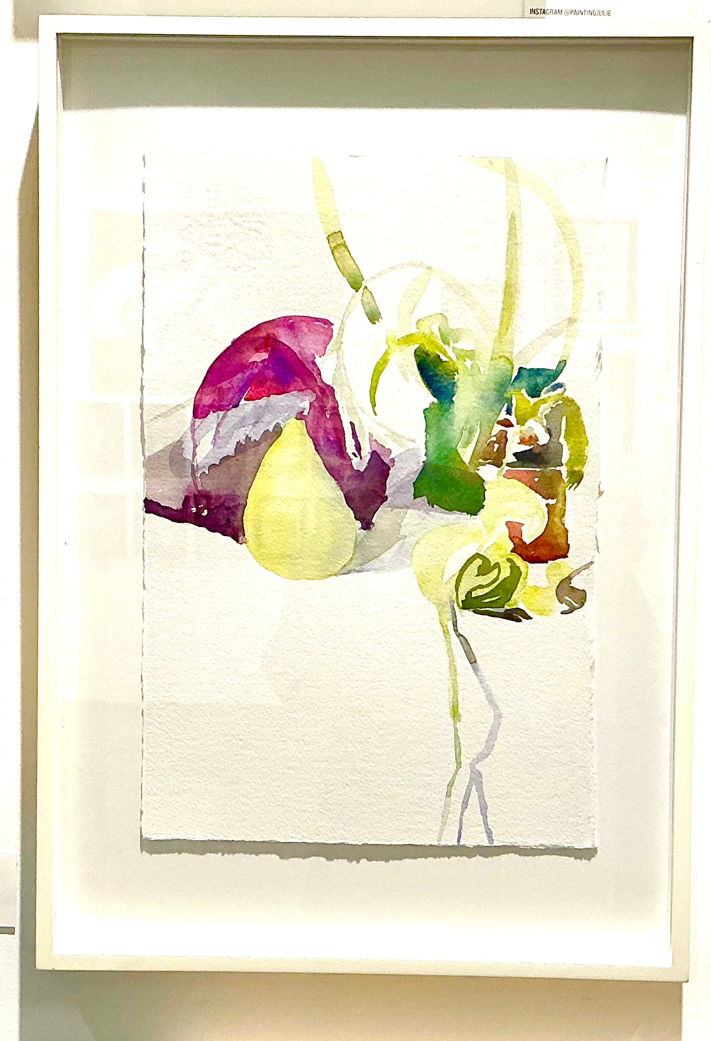 536. Pear formed by Cabbage