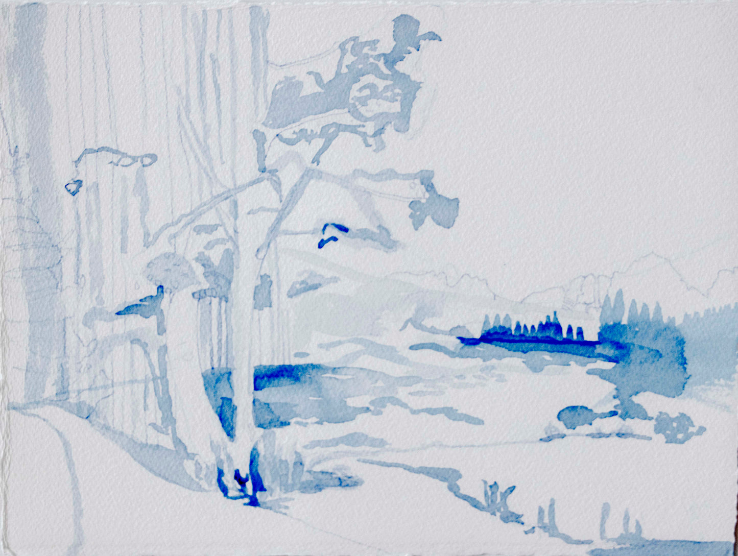 29. Aspen At Maroon Bells