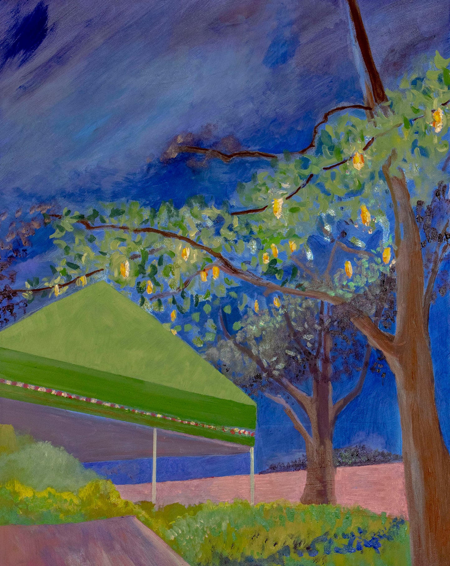 15. Night in Central Park