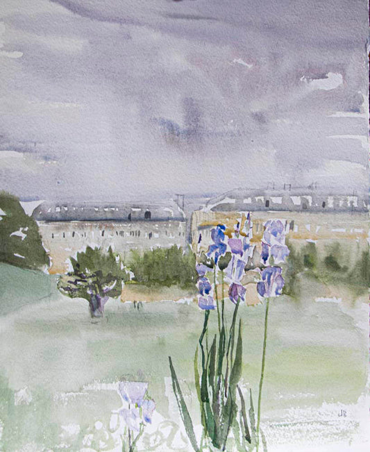 11.Springtime Iris in Paris