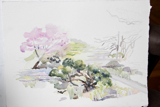 57.The Japanese Gardens