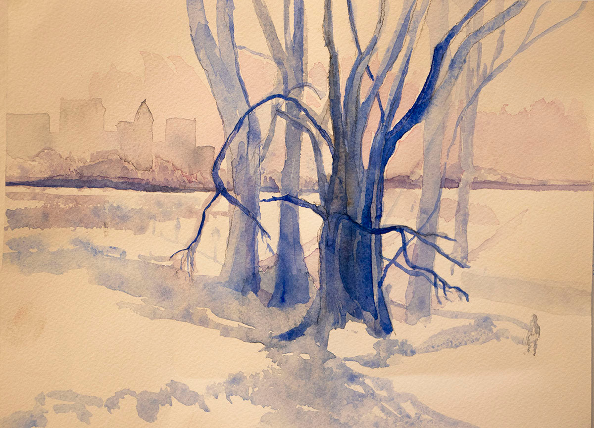 539. Central Park Blue