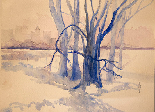 539. Central Park Blue