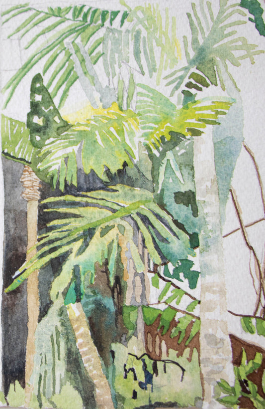 42.Tropical Palms