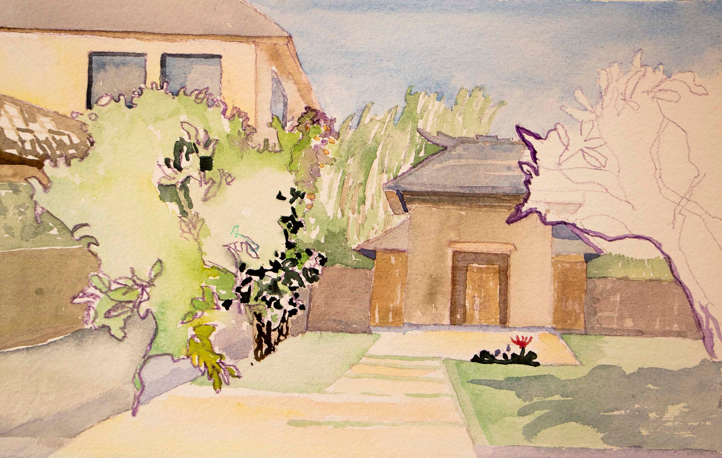 82. And 83.The Water Lilly