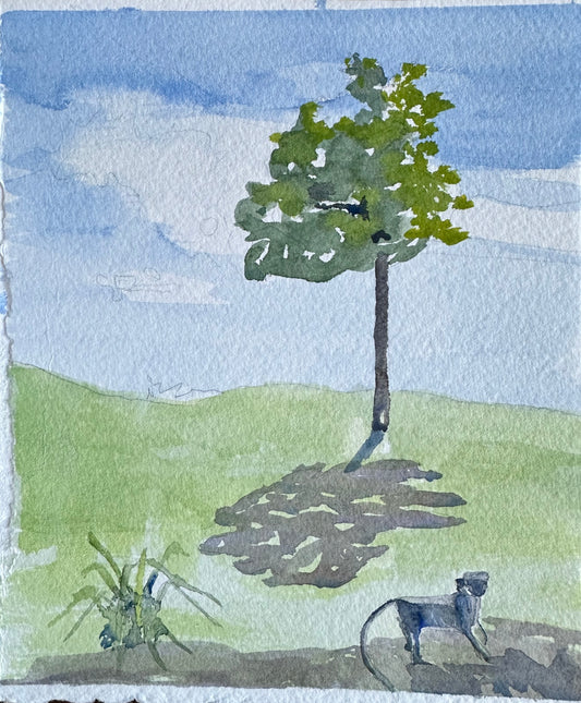 37. Capuchin and Tree