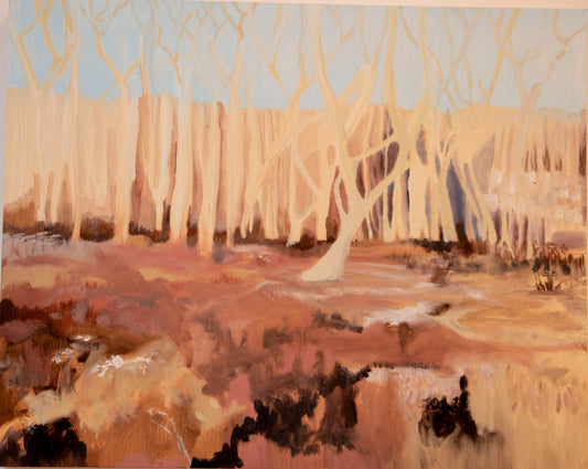 555.Meadow in winter