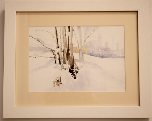 249.Deep Snow in Central Park